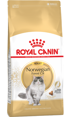 Royal Canin Cat Norwegian Forest Adult